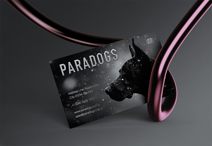 Paradogs Business Card – A sleek and professional design displayed on a dark background with a purple aluminum tube, reinforcing brand identity.