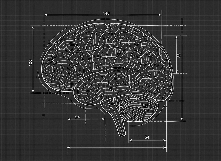 The Psychology of Color & Layout in Persuasive Presentation Design